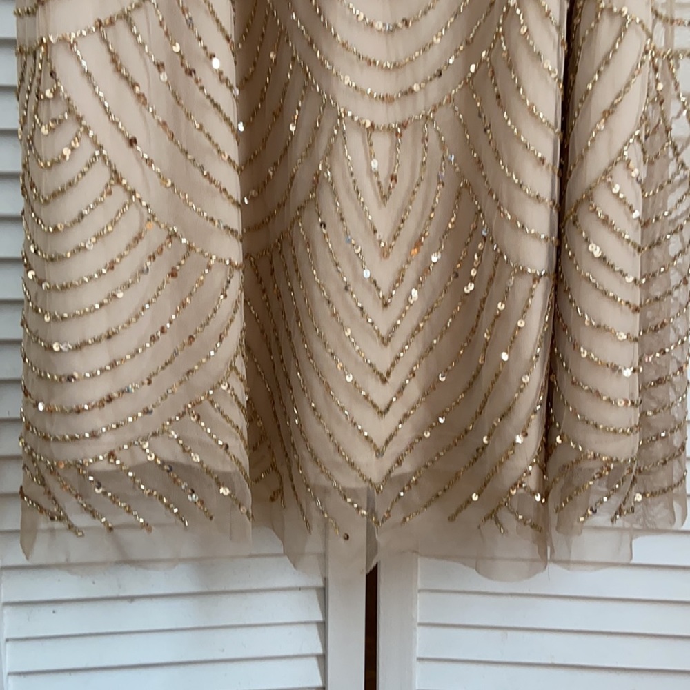 Adrianna Papell floor length dress - Picture 2 of 6